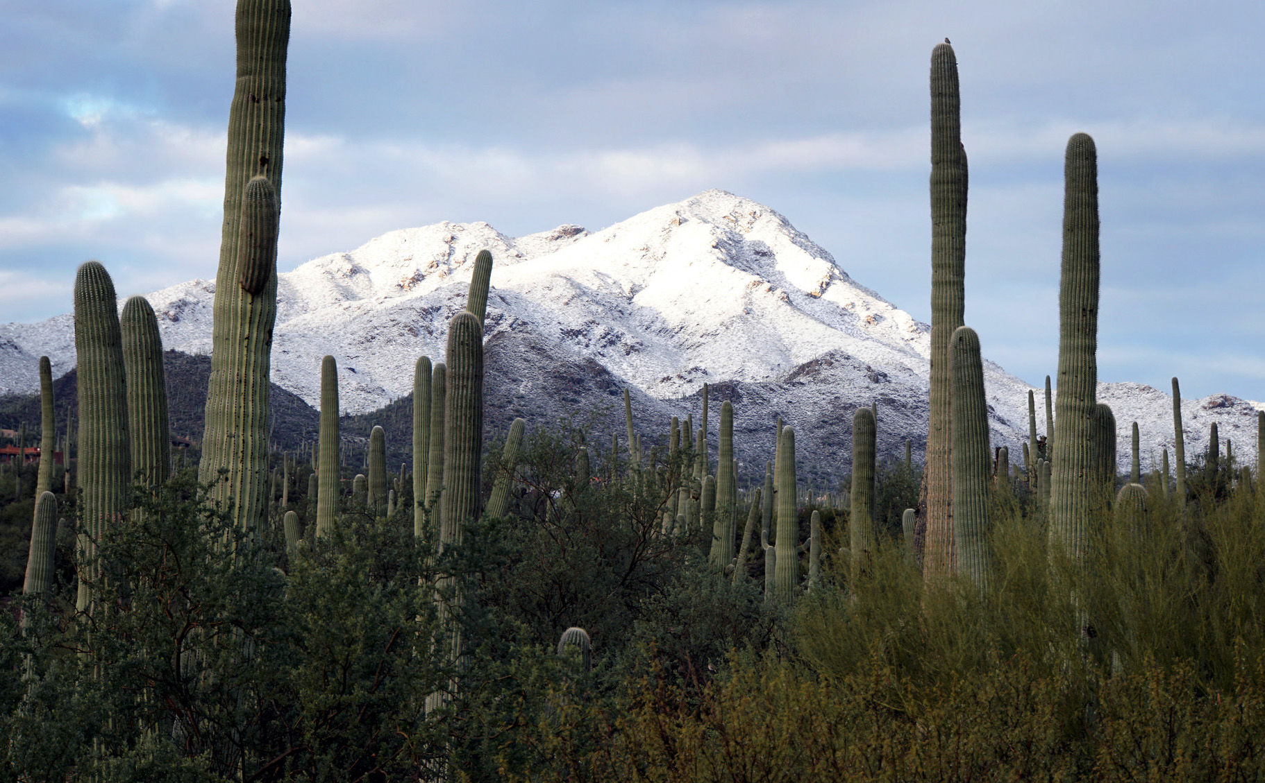 Snow on the ÃÛèÖÖ±²¥ Mountains